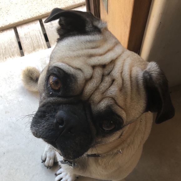 Meet your Posher, Cheryl - Picture 2 of 2